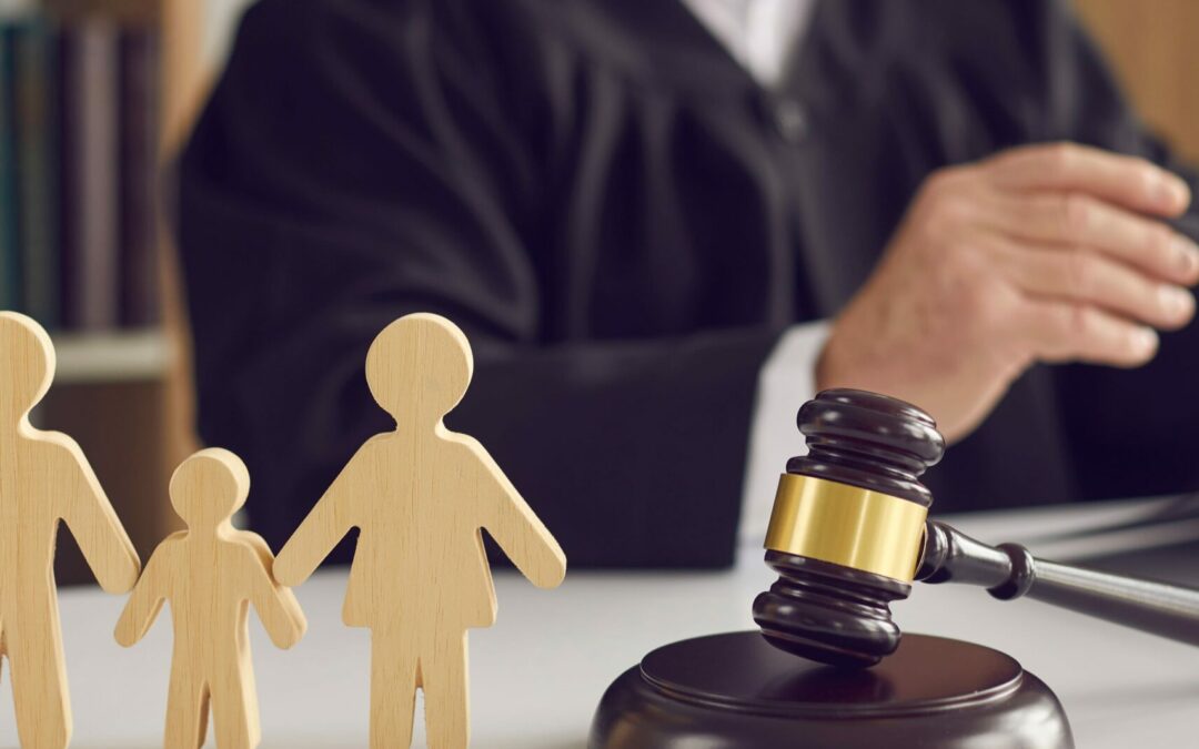 How Attorneys Define Ad Litem in Child Custody Cases And Its Role